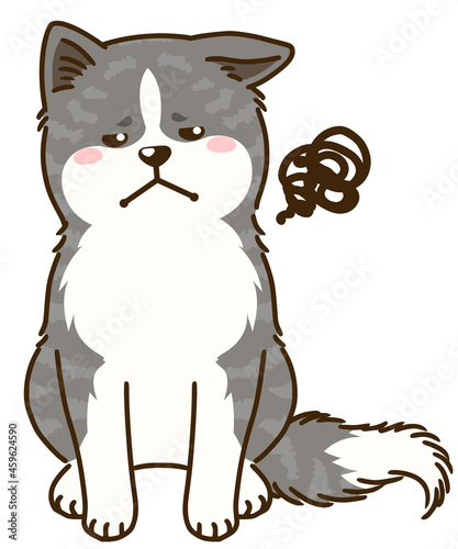 目を逸らす秋田犬（虎毛）