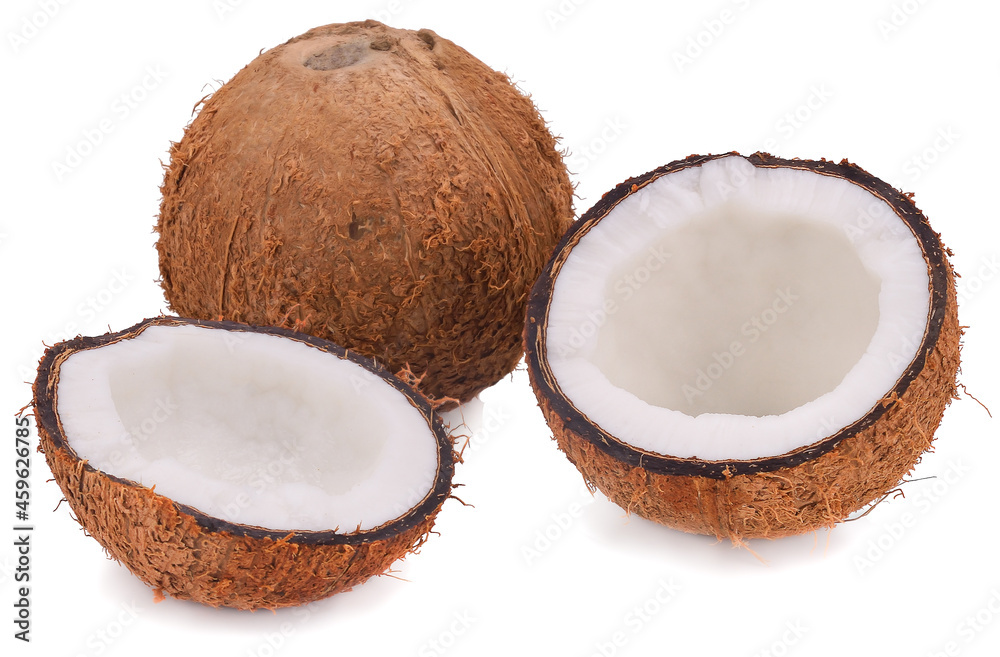 coconuts isolated on the white background coconuts isolated on the white background