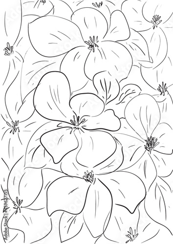 seamless floral pattern