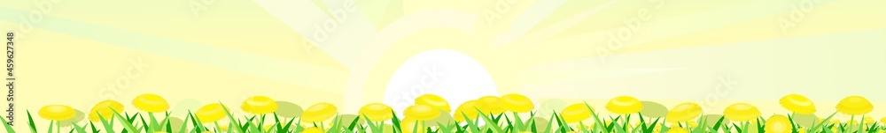 Summer meadow with yellow dandelions. Clear morning sky with sunrays. Horizontal composition. Close-up side view. Rural cute grassy landscape. Vector