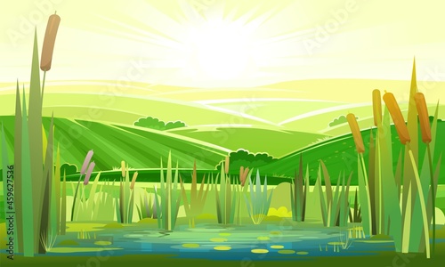 Landscape with a swampy shore of a lake or river. Coast is overgrown with grass, reeds and cattails. Rural hills with vegetable gardens. Water with water lily leaves. Wild pond. Vector