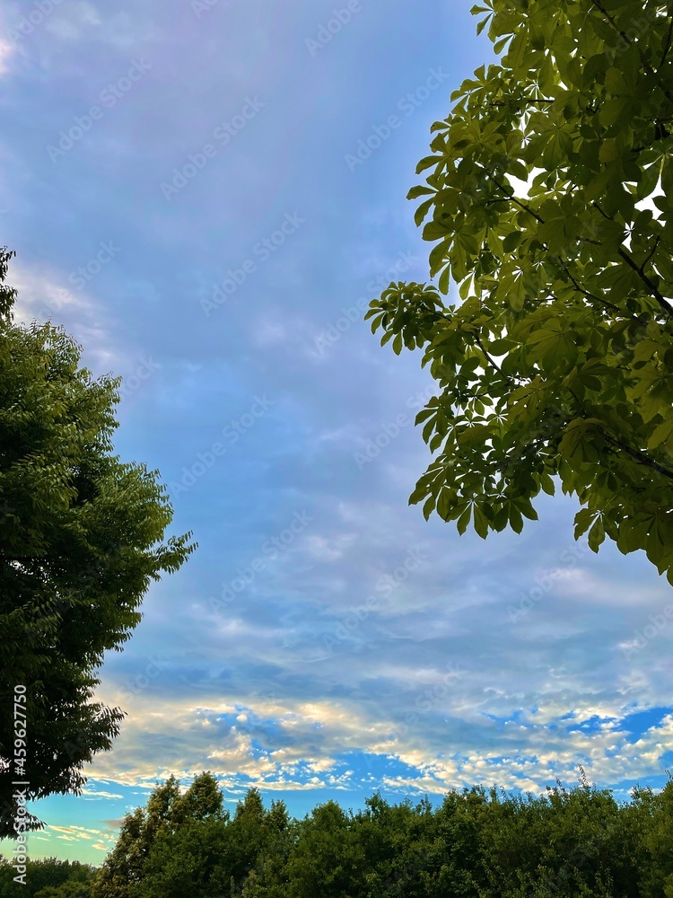 Obraz premium 맑은 하늘