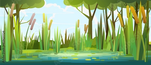 Summer swampy landscape. Flat style. Shore a quiet river or lake. Wild overgrown pond against the backdrop of trees and bushes. Cloudy sky. Water lily leaves. Illustration vector