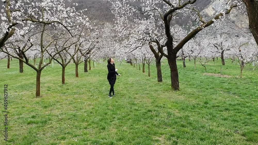 Beautiful girl and apricot trees in the period of spring flowering Beautiful girl and apricot trees in the period of spring flowering