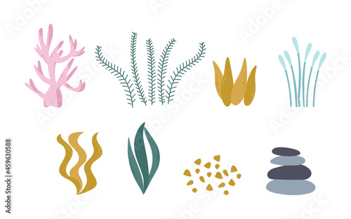 Seaweed and coral, a set of cute plants from the ocean. Vector illustration isolated on a white background.