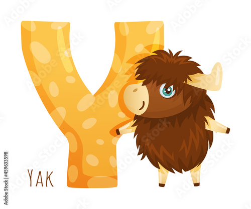 Y letter and cute yak baby animal. Zoo alphabet for children education, home or kindergarten decor cartoon vector illustration