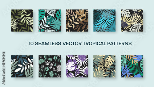 Vector seamless pattern with colorful tropical leaves, exotic twigs, abstract elements on a black background.
