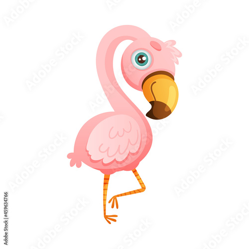 Cute jungle pink flamingo bird cartoon vector illustration on white background