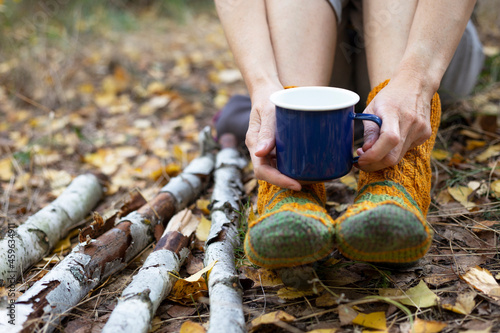 beautiful autumn still life