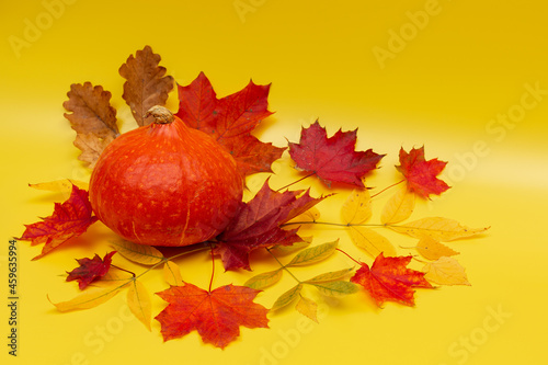 autumn leaves and pumpkin on a yellow background