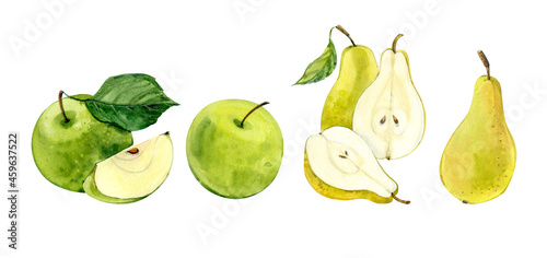 Fototapeta Naklejka Na Ścianę i Meble -  Watercolor clip art. Fruits: apples and pears. Hand drawing.