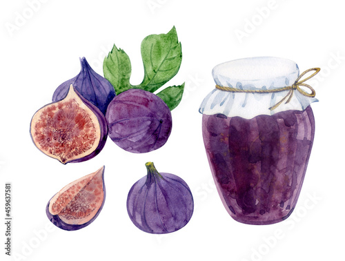 Watercolor clip art. Fig jam in a glass jar, whole figs and pieces. Hand drawing.