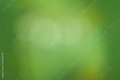 Natural green blurred background. Defocus light green.