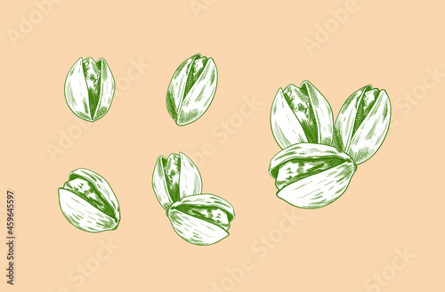Vector Set of Hand Drawn Pistachios, Nuts Sketch, Groups on Nuts and Single Objects, Natural Product, Sketchy Drawing Style.
