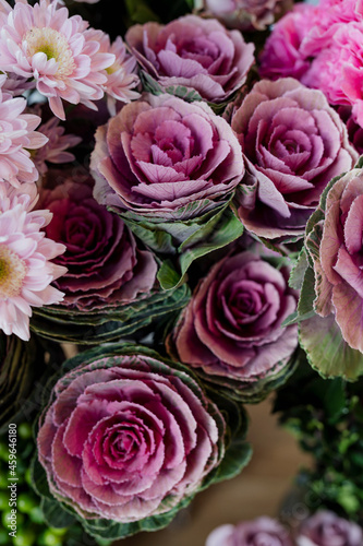 Ornamental cabbage in a flower shop