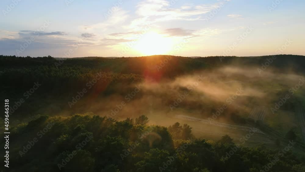 The sun's rays illuminate a light fog that descends on the forest hills. Orange sunset in summer from a bird's eye view. Slopes of a green pine forest in the evening sun The sun's rays illuminate a light fog that descends on the forest hills. Orange sunset in summer from a bird's eye view. Slopes of a green pine forest in the evening sun