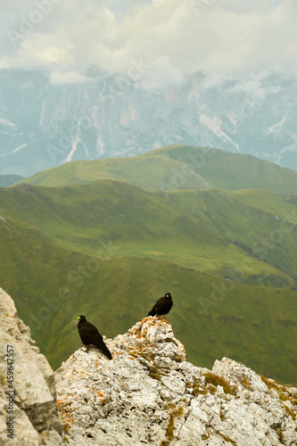 two alpine doles perched on limestone rock in frnt of rolling hills and tall maountains in the italian Dolomites