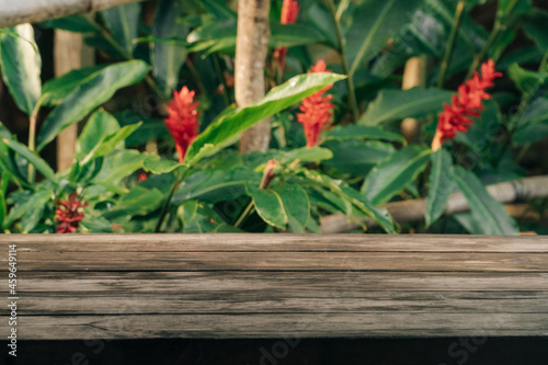 Wooden table in front of a Alpinia purpurata garden  background