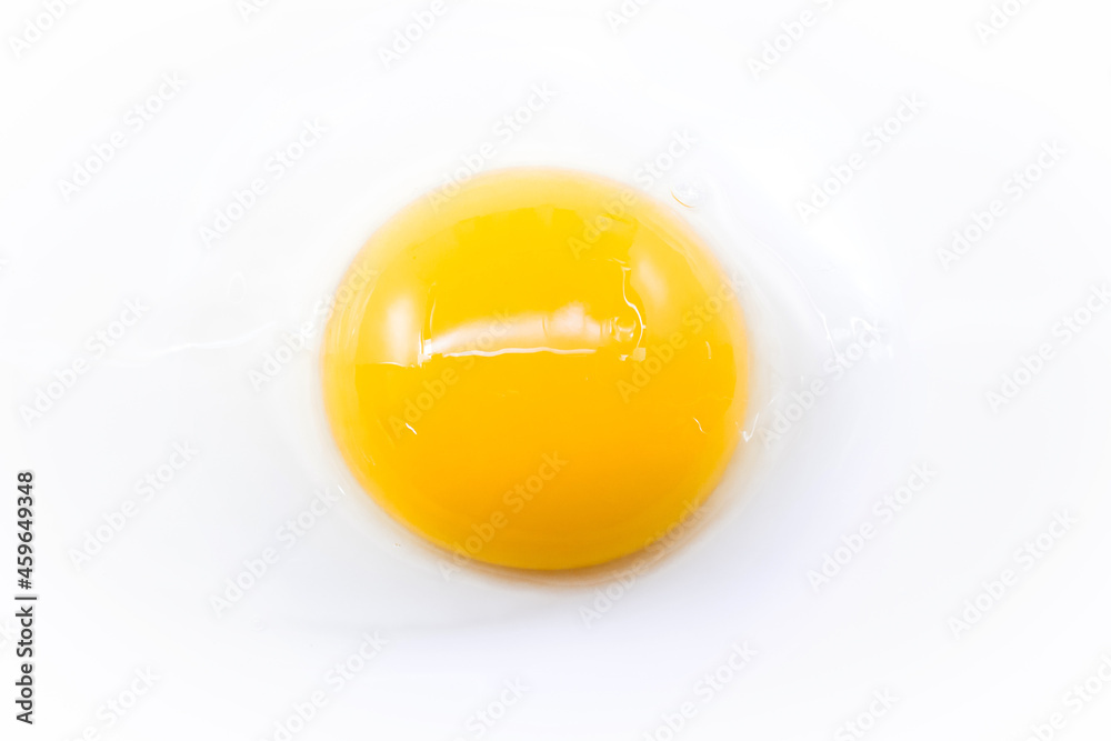 chicken egg yolk close-up