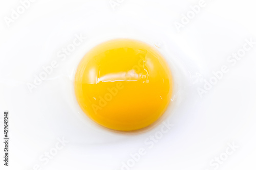 chicken egg yolk close-up
