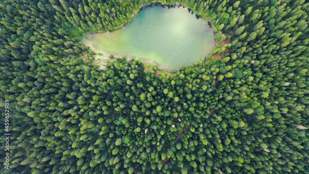 Aerial top view of lake middle of the forest surrounded pine trees. Coniferous forest in the summer time. Aerial top view of lake middle of the forest surrounded pine trees. Coniferous forest in the summer time.