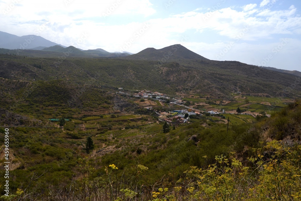 
A valley, some mountains, some houses and flowers.