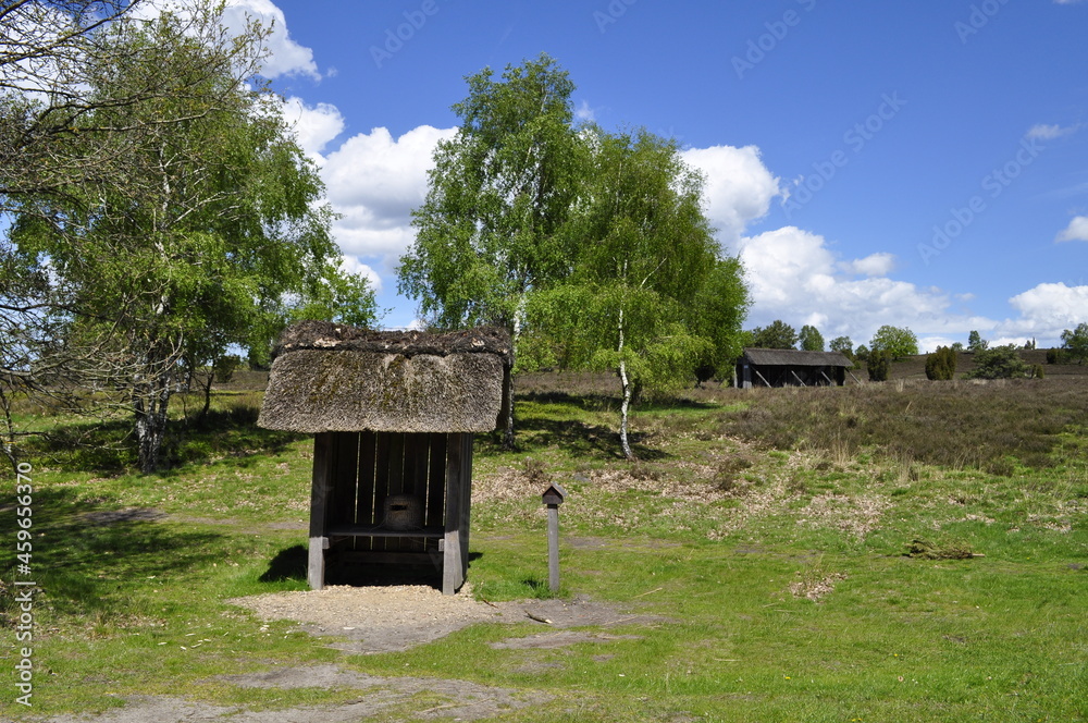 Lüneburger Heide- Natur 