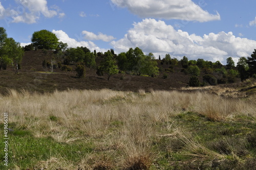 Lüneburger Heide- Natur 