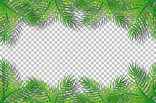 Green nature leaves frame transparent background