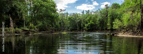 Panoramic view of the nature scene of Fisheating Creek in Florida photo