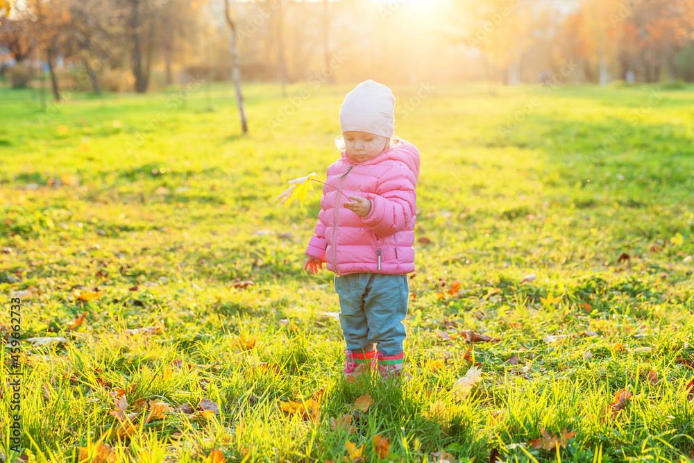 Happy young girl smiling in beautiful autumn park on nature walks outdoors. Little child playing with falling yellow maple leaf in autumn fall orange yellow background. Hello autumn concept. Happy young girl smiling in beautiful autumn park on nature walks outdoors. Little child playing with falling yellow maple leaf in autumn fall orange yellow background. Hello autumn concept.