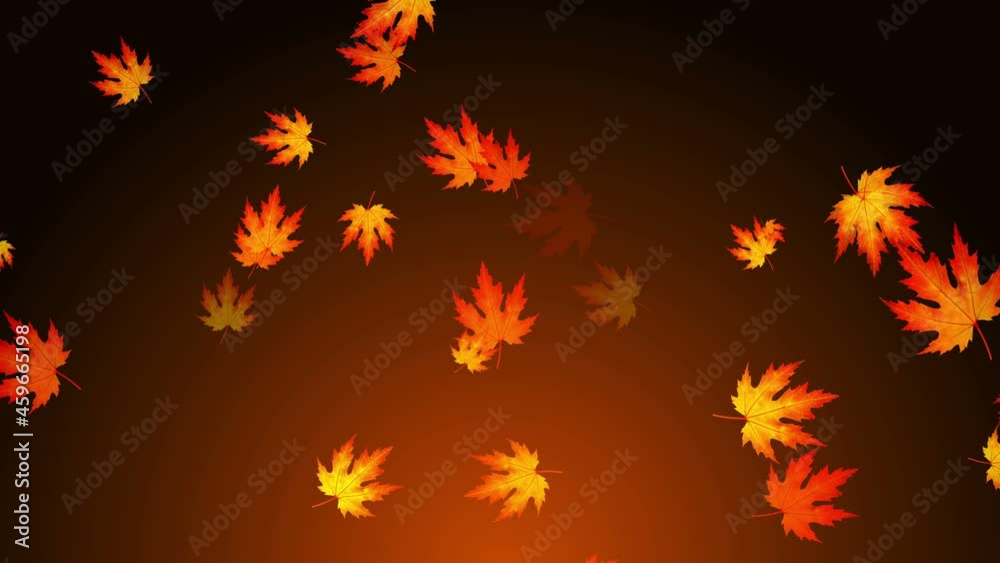 Colorful Fall Season Background Loop