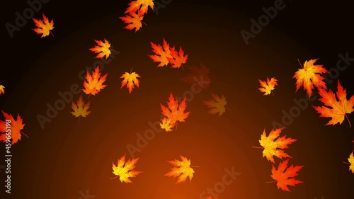 Colorful Fall Season Background Loop