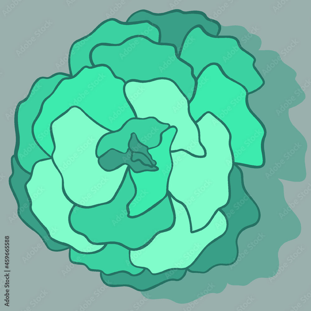 flower illustration flower illustration