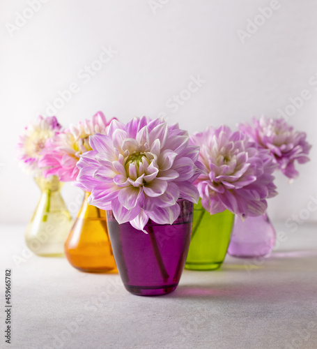 Wallpaper Mural Autumn still life with pink dahlia in multicolored vases on table. Autumn floral decoration for home. Torontodigital.ca