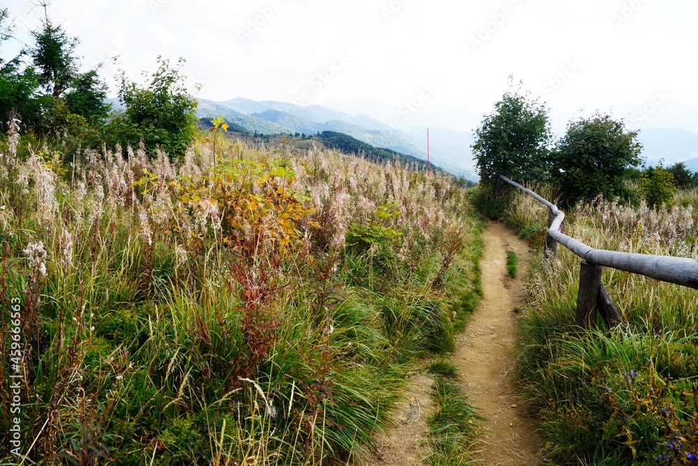Fototapeta premium Autumn in a mountains