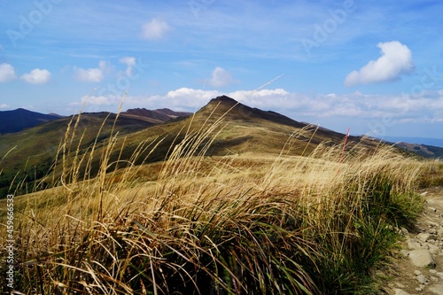 Autumn in a mountains