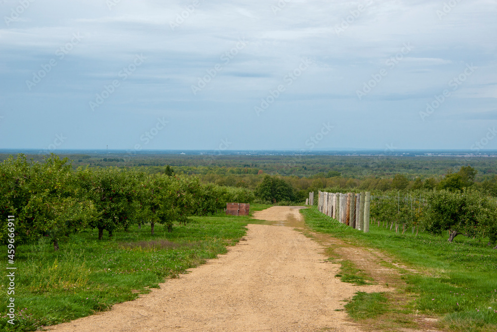 Apple orchard atop Covey Hill in southern Quebec