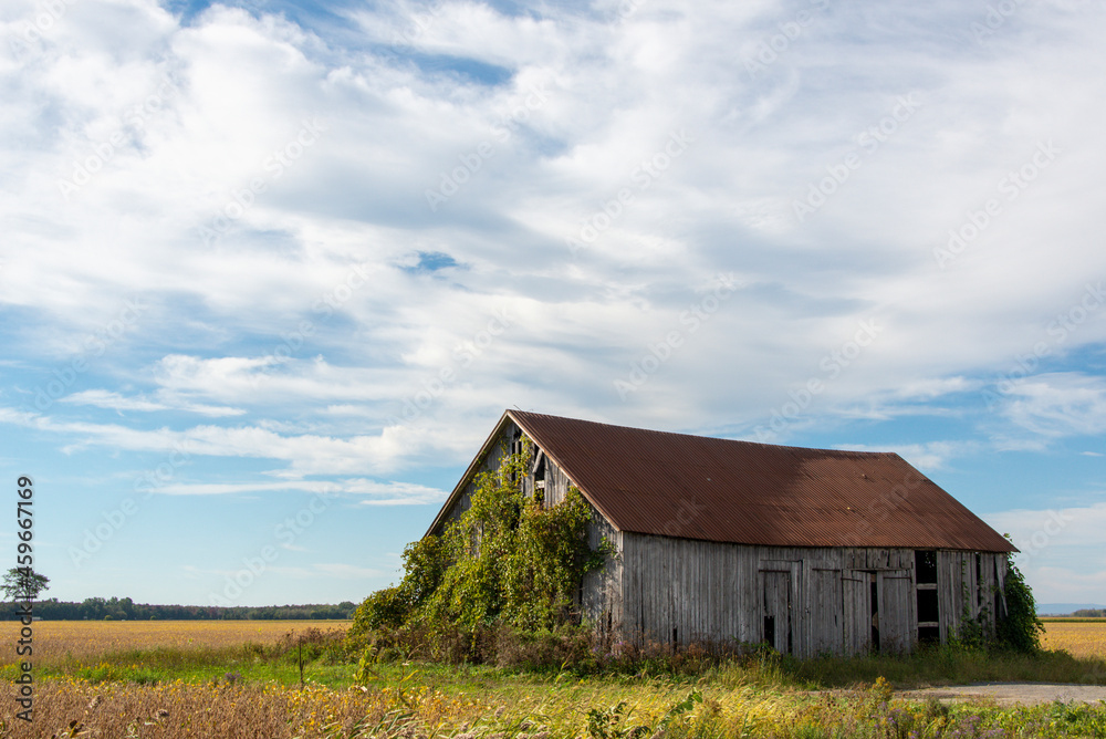 Obraz premium Old barn in the southern region of Quebec