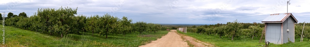 Panoramic view of an apple orchard atop Covey Hill in southern Quebec