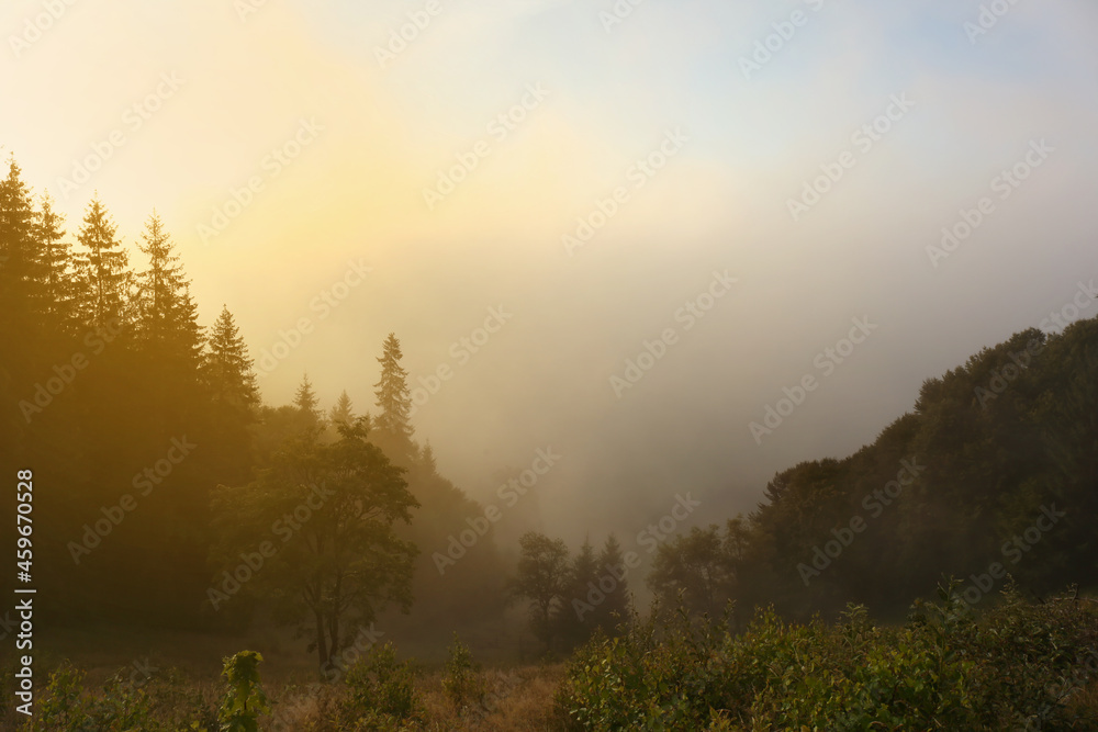 Fototapeta premium Picturesque view of mountains covered with fog at sunrise