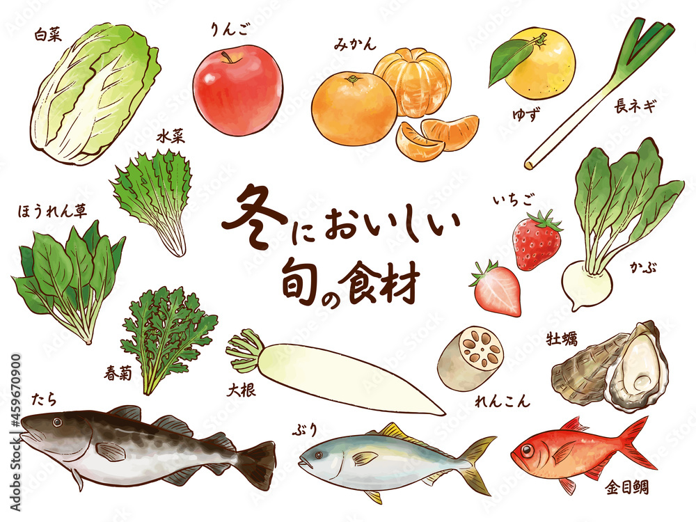 冬においしい旬の食材の水彩イラストセット Winter Food Watercolor Vector Illustration Stock Vector Adobe Stock