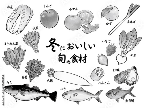 冬においしい旬の食材の水彩イラストセット(白黒)　Winter Food Watercolor Vector Illustration