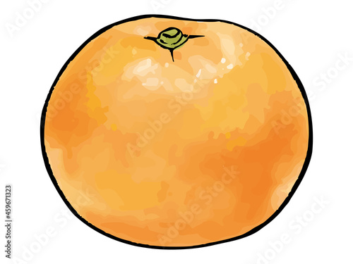 水彩風のみかん　Mandarin orange watercolor vector illustration