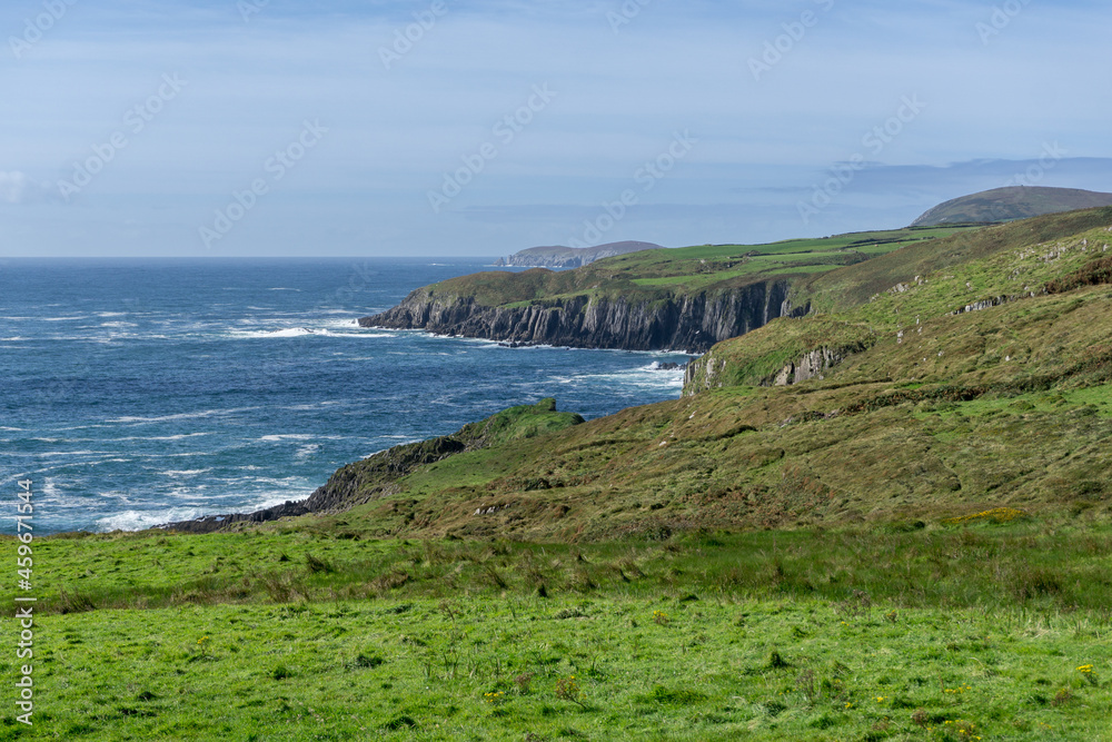 coastline ireland at wild atlantic way during day with some sheep on green grass and steep cliffs