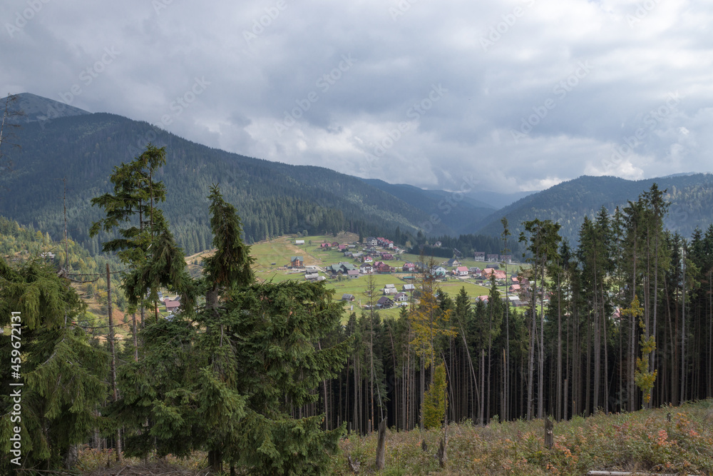 Fototapeta premium forest in the mountains and a resort village