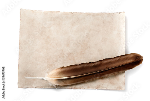 antique parchment with bird feather isolated