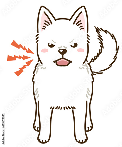 威嚇する紀州犬
