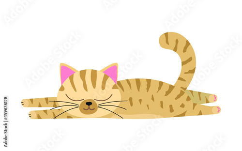 Sleeping lazy cat. Funny red cat lays on the belly