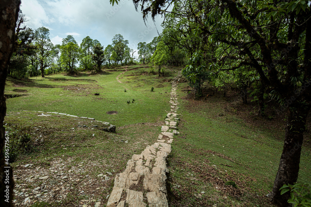 Long and narrow hiking trail made of stones, Nepal